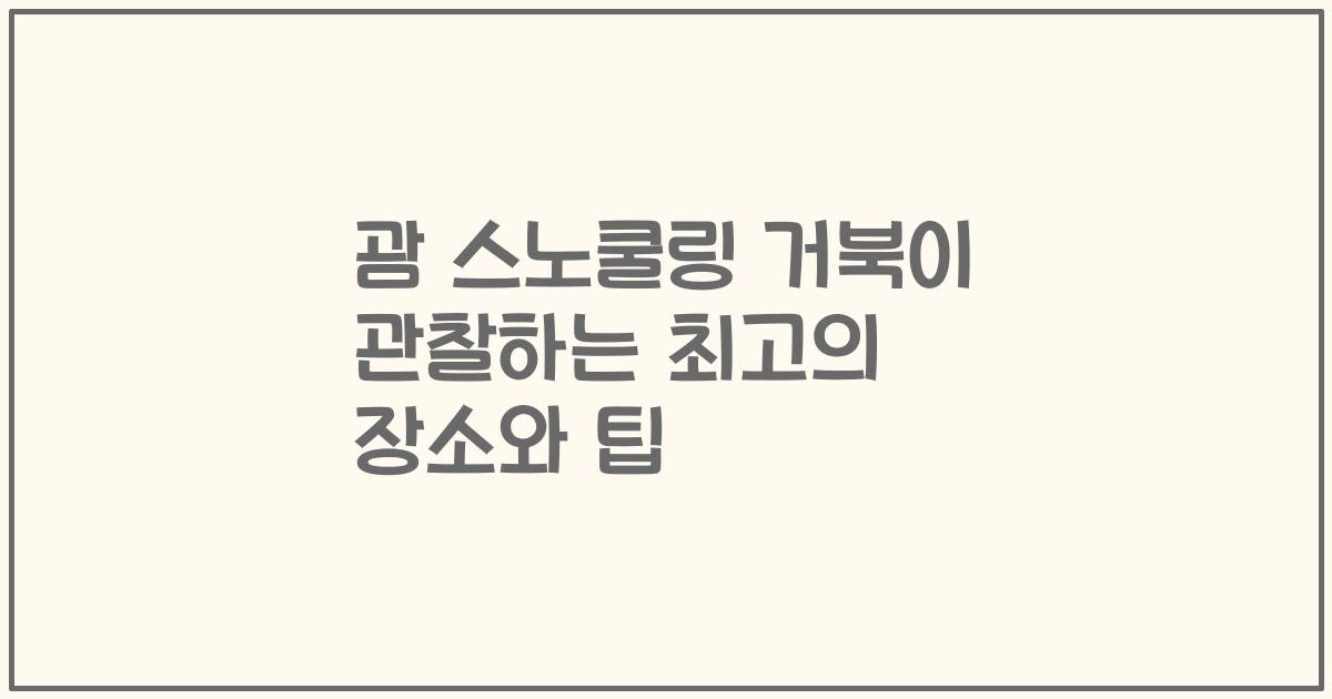 괌 스노쿨링 거북이 관찰하는 최고의 장소와 팁