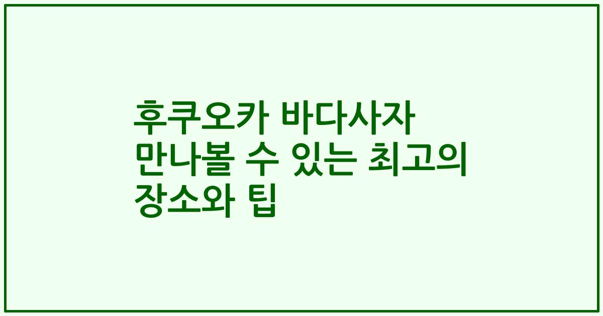 후쿠오카 바다사자 만나볼 수 있는 최고의 장소와 팁